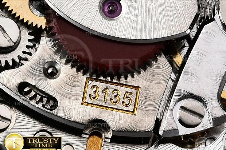 Aaa replica watch – 36mm DJ RDJ0350C 1101